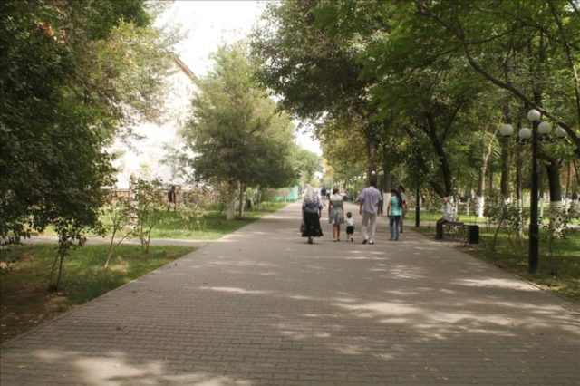 Shymkent (82)