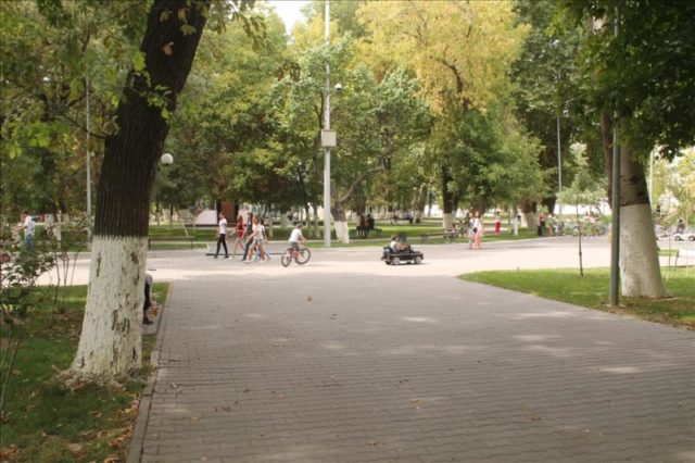 Shymkent (83)