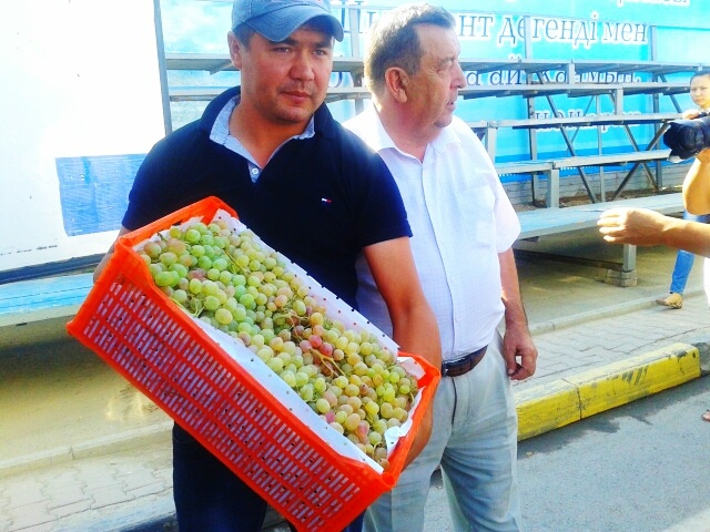 Нұрлан Құралов өз алқабынан 25 тонна жүзім жинапты | OTYRAR